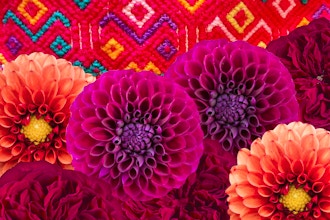Virtual Floral Art: Flores de Amor